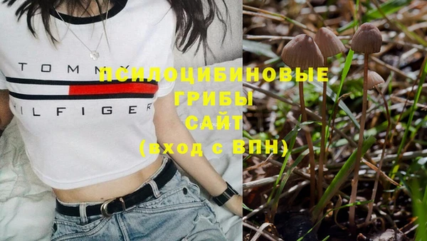 дживик Арсеньев