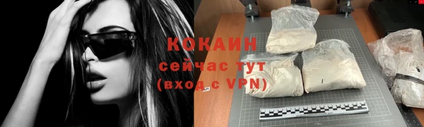 индика Липки