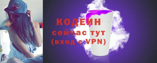индика Липки