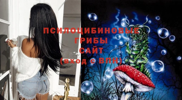 Альфа ПВП Армянск