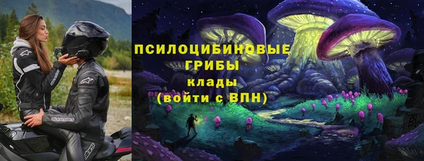 Альфа ПВП Армянск