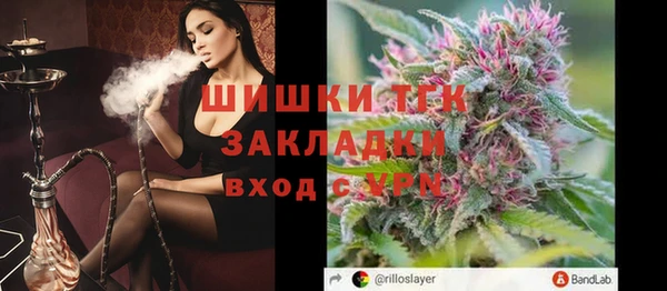 дживик Арсеньев