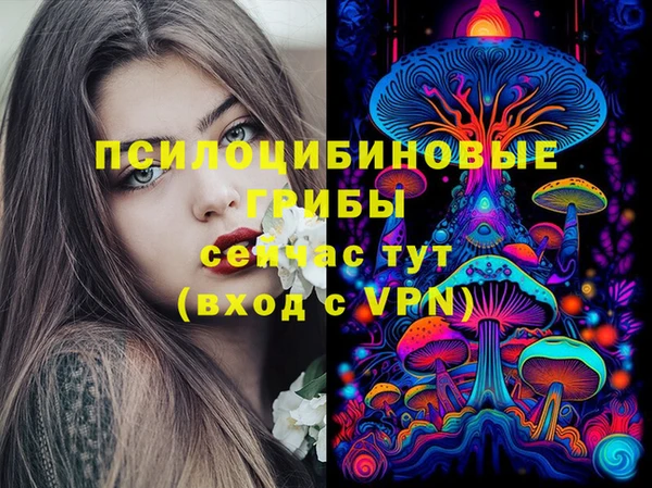 2c-b Аркадак